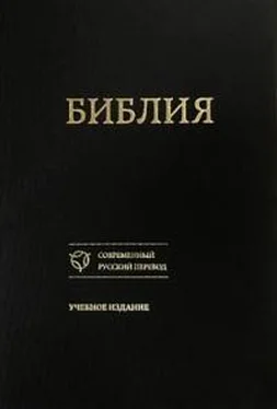 Библия Библия [Учебное издание] обложка книги