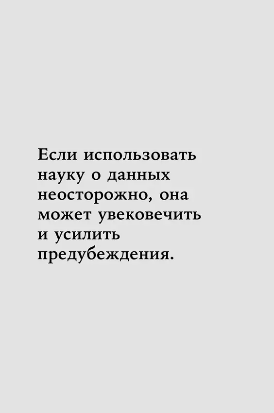 Другим примером полицейского контроля на основе данных является Стратегический - фото 36