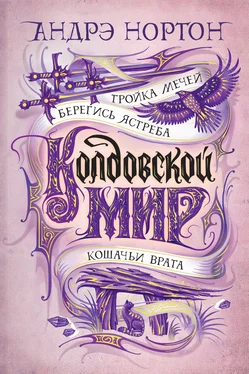 Андрэ Нортон Тройка мечей [сборник litres] обложка книги