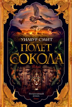 Уилбур Смит Полет сокола [litres] обложка книги