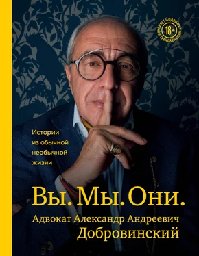 Александр Добровинский Вы. Мы. Они. Истории из обычной необычной жизни обложка книги