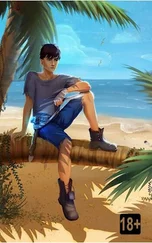 Евгений Алексеев - Старшая школа Гакко. Книга одиннадцатая
