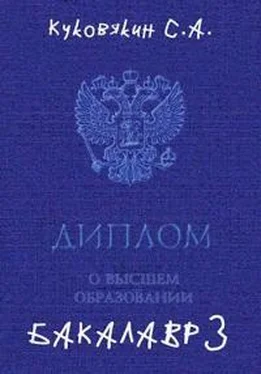 Сергей Куковякин Бакалавр 3 [СИ] обложка книги