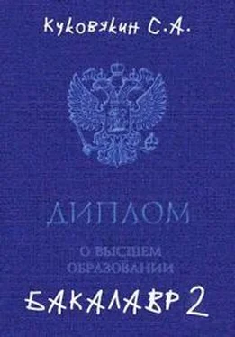 Сергей Куковякин Бакалавр 2 [СИ] обложка книги