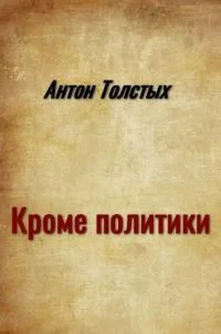 Антон Толстых Кроме политики [сборник] обложка книги