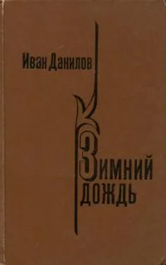 Иван Данилов Зимний дождь обложка книги