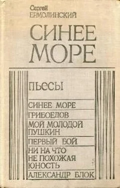 Сергей Ермолинский Синее море обложка книги