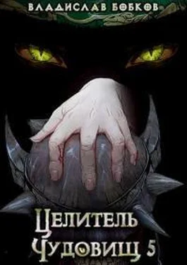 Владислав Бобков Целитель чудовищ - 5 обложка книги