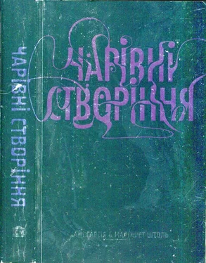 Маргарет Штоль Чарівні створіння обложка книги