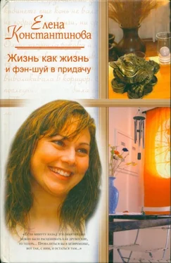Елена Константинова Жизнь как жизнь и фэн-шуй в придачу обложка книги