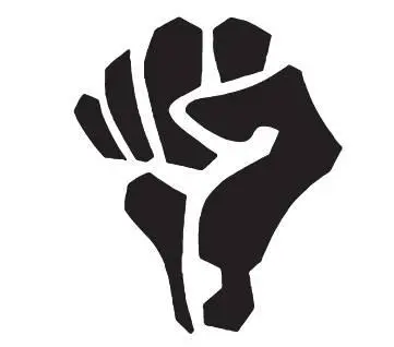 Попович и его друзья приступили к действиям осенью 1998 года когда они еще - фото 7