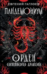 Евгений Гаглоев - Орден Огненного Дракона [litres]