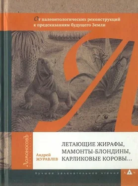 Андрей Журавлев Летающие жирафы, мамонты-блондины, карликовые коровы... От палеонтологических реконструкций к предсказаниям будущего Земли обложка книги