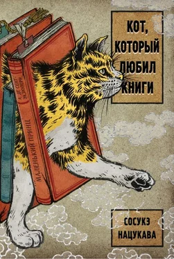 Сосукэ Нацукава Кот, который любил книги обложка книги