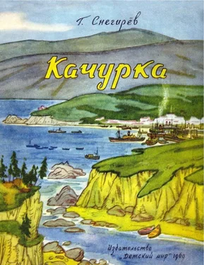 Геннадий Снегирёв Качурка обложка книги