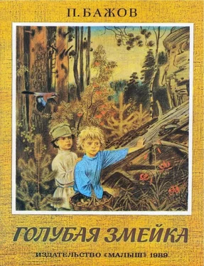 Павел Бажов Голубая змейка обложка книги