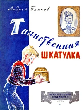 Андрей Блинов Таинственная шкатулка обложка книги