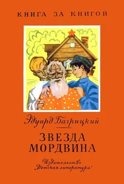 Эдуард Багрицкий Звезда мордвина обложка книги