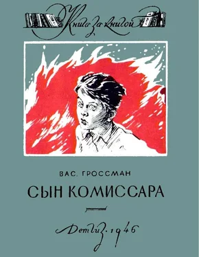 Василий Гроссман Сын комиссара обложка книги