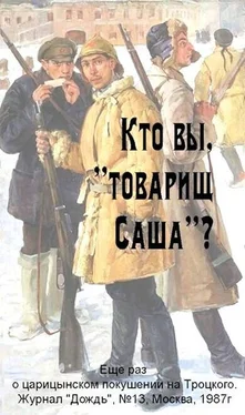 Д Замполит Кто вы, «товарищ Саша»? обложка книги