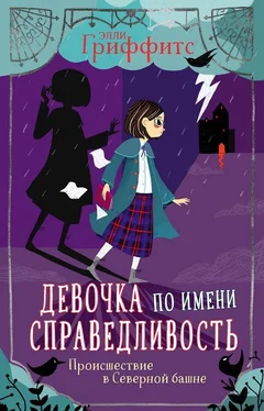 Элли Гриффитс Происшествие в Северной башне [litres с оптимизированной обложкой] обложка книги