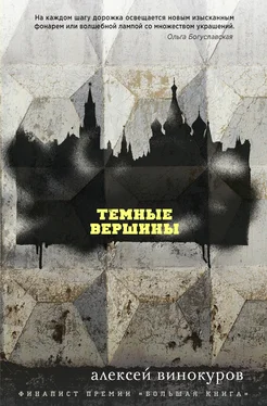 Алексей Винокуров Темные вершины [litres] обложка книги