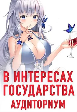 Алекс Хай В интересах государства. Аудиториум обложка книги