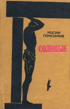 Иосиф Герасимов Пять дней отдыха. Соловьи обложка книги