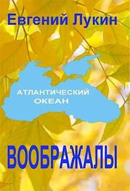 Евгений Лукин Воображалы обложка книги