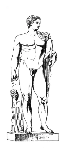 ПРОЛОГ 24 января Молодой император вышел из зала Исиды и вошёл в - фото 3