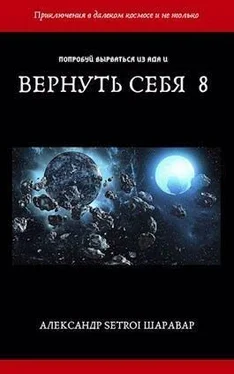 Александр Шаравар Вернуть себя. Том 8 обложка книги