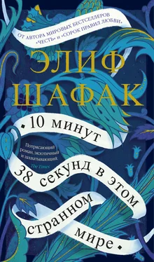 Элиф Шафак 10 минут 38 секунд в этом странном мире [litres] обложка книги