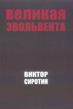 Виктор Сиротин Великая Эвольвента обложка книги