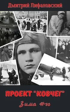 Дмитрий Лифановский Проект Ковчег. Зима 41-го. обложка книги