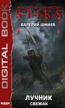 Валерий Шмаев S-T-I-K-S. Лучник. Свежак [электронная публикация] обложка книги