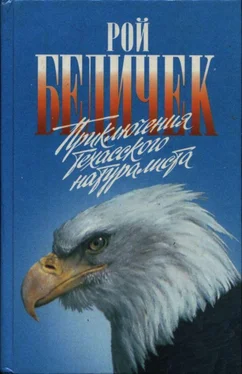 Рой Бедичек Приключения техасского натуралиста обложка книги