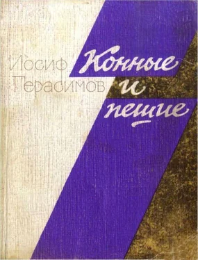 Иосиф Герасимов Конные и пешие обложка книги