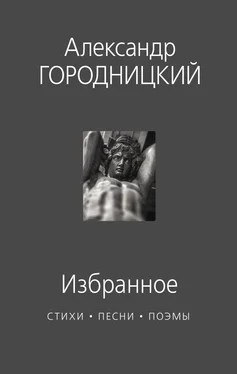 Александр Городницкий Избранное. Стихи, песни, поэмы обложка книги