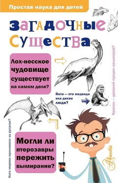 Келли Холлс Загадочные существа обложка книги