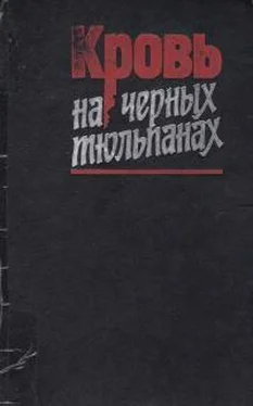 Евгений Коршунов Кровь на черных тюльпанах обложка книги