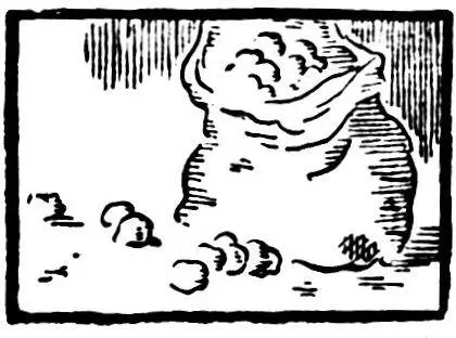 Глава девятая рассказывающая о том что произошло на базаре Что Джой - фото 11