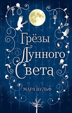 Мара Вульф Грёзы лунного света [litres] обложка книги