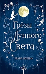 Мара Вульф - Грёзы лунного света [litres]