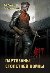 Владислав Колмаков - Партизаны столетней войны