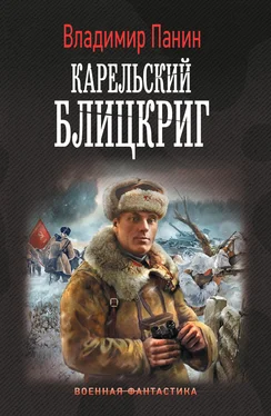 Владимир Панин Карельский блицкриг [litres] обложка книги