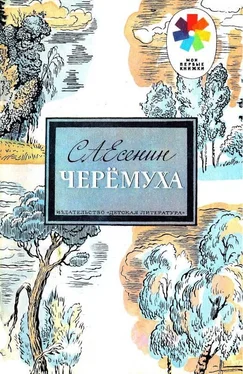 Сергей Есенин Черёмуха обложка книги