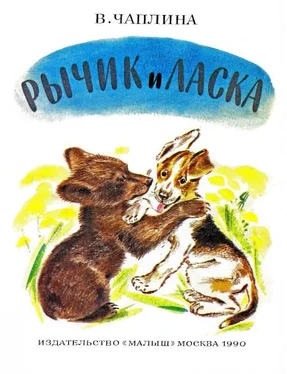 Вера Чаплина Рычик и Ласка обложка книги