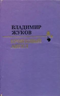 Владимир Жуков Бронзовый ангел обложка книги