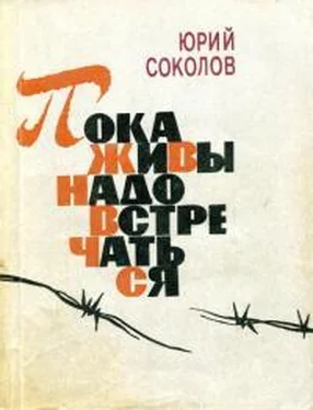 Юрий Соколов Пока живы — надо встречаться обложка книги