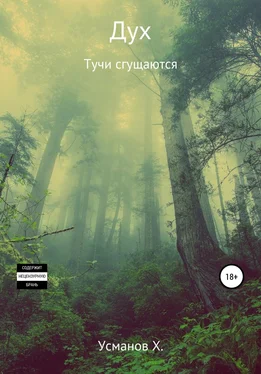 Хайдарали Усманов Тучи сгущаются [publisher: SelfPub] обложка книги